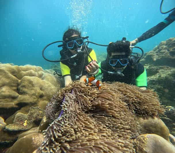 Cat Island Phuket: Scuba Diving and Relaxing on Island - Pricing and Booking Details
