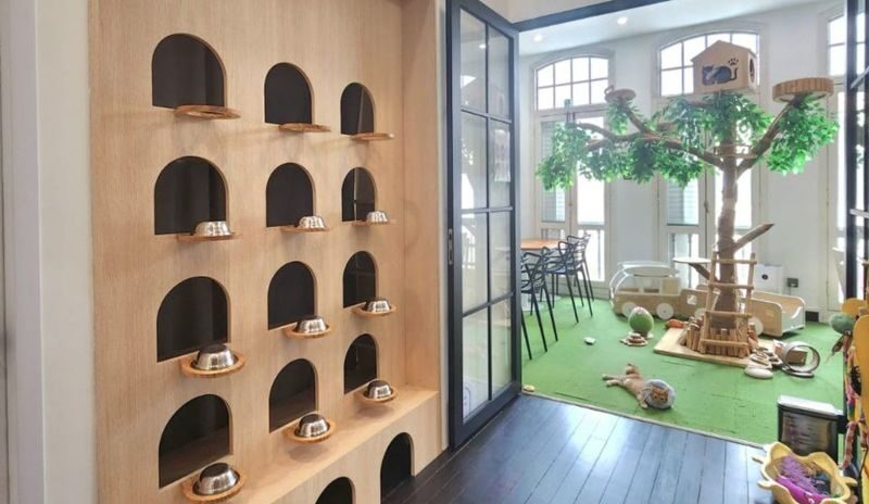 Cat Lounge and Coworking in Singapore - How the price measures up