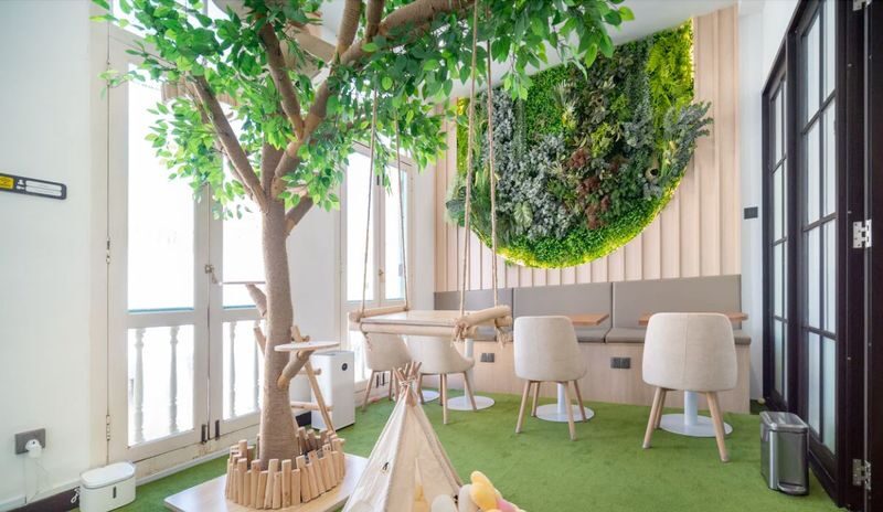 Cat Lounge and Coworking in Singapore - A few practical things to know before you go