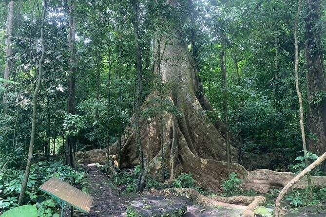 Cat Tien Day Trip from HCMC: Jungle Trek & Wildlife Safari - FAQ