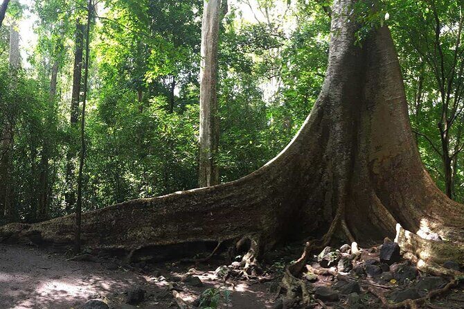 Cat Tien National Park Day Trip with Trekking and Cycling - Journey to Cat Tien: What to Expect