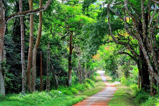 Cat Tien National Park Day Trip with Trekking and Cycling - Who Is This Tour Best For?