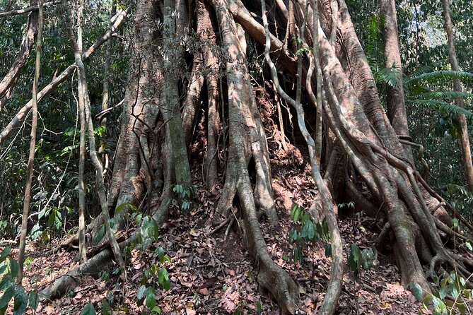 Cat Tien National Park Private Full Day Tour - Customer Reviews