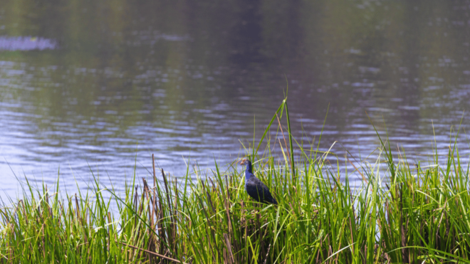 Cat Tien National Park With Crocodile Lake - Exploring Crocodile Lake