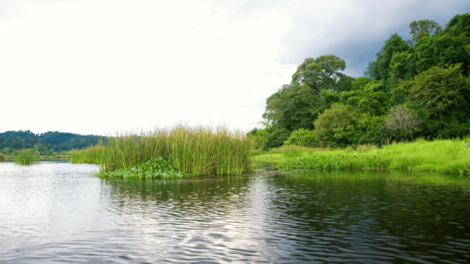 Cat Tien National Park With Crocodile Lake - Accommodation at Green Hope Lodge