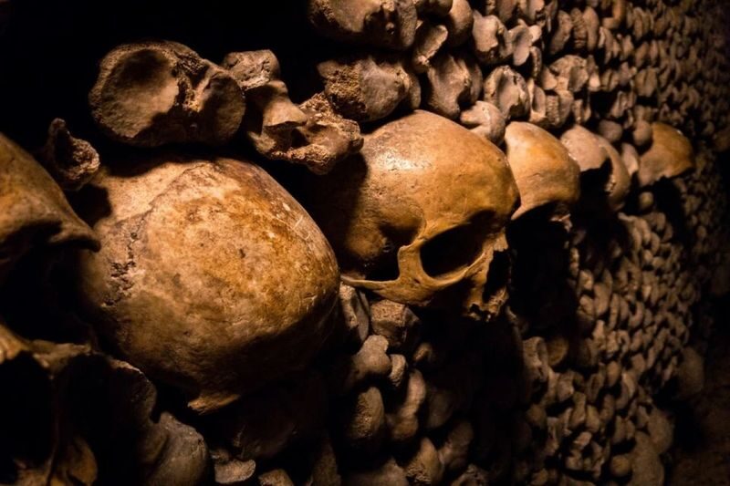 Catacombs and Seine River Cruise Ticket in Paris - Two very different views of Paris