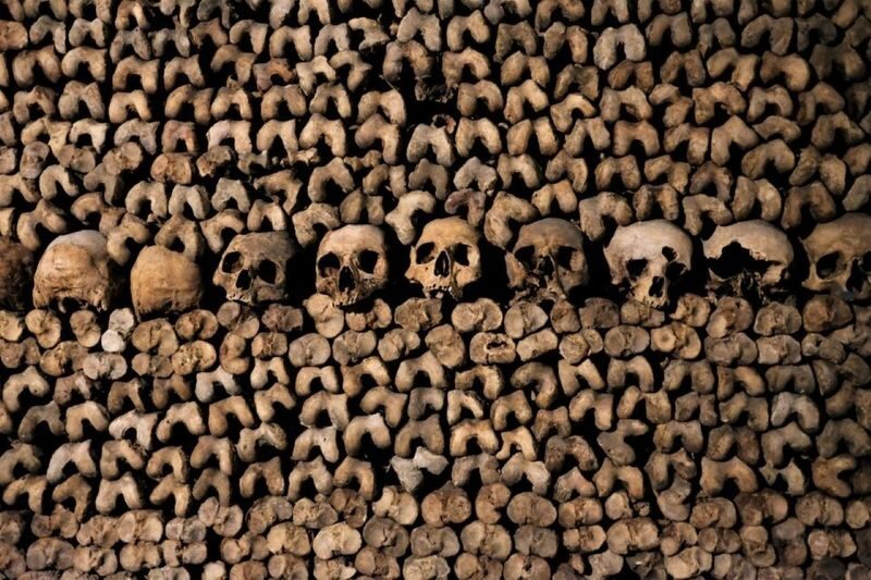 Catacombs and Seine River Cruise Ticket in Paris - The Seine cruise from Port de la Bourdonnais