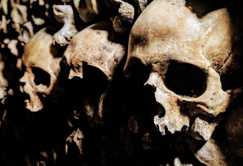 Catacombs and Seine River Cruise Ticket in Paris - Making the timing work