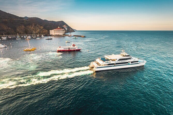 Catalina Express: Avalon to San Pedro One-Way Ferry - Introduction: A Scenic and Practical Transfer