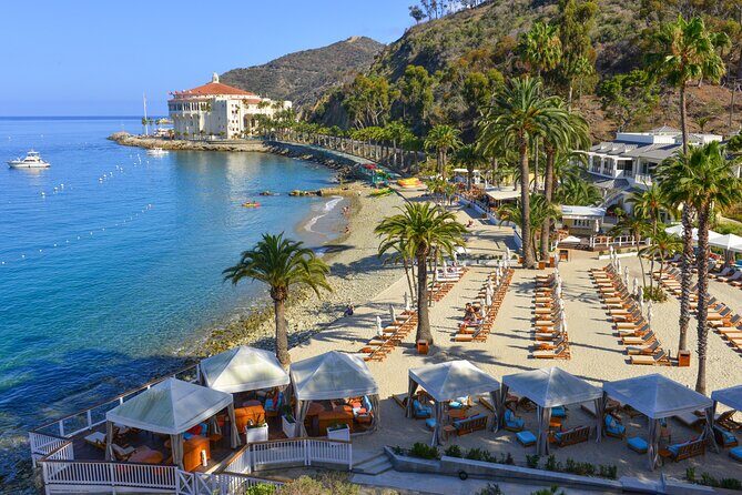 Catalina Express: Avalon to San Pedro One-Way Ferry - Practical Tips for Your Trip