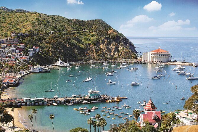 Catalina Express: Avalon to San Pedro One-Way Ferry - The Sum Up: Who Is This Ferry Perfect For?