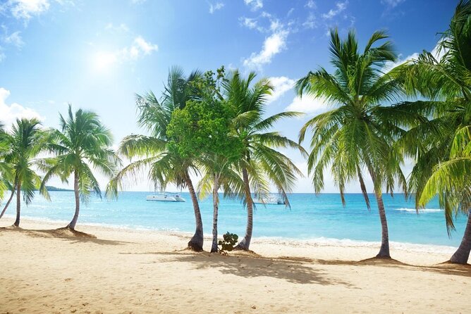 Catalina Island and Bayahibe Snorkel Tour - Itinerary Details