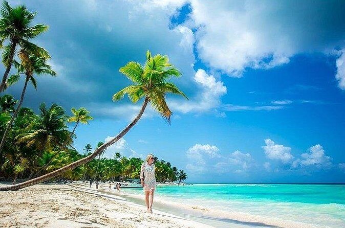 Catalina Island and Bayahibe Snorkel Tour - Analyzing the Value