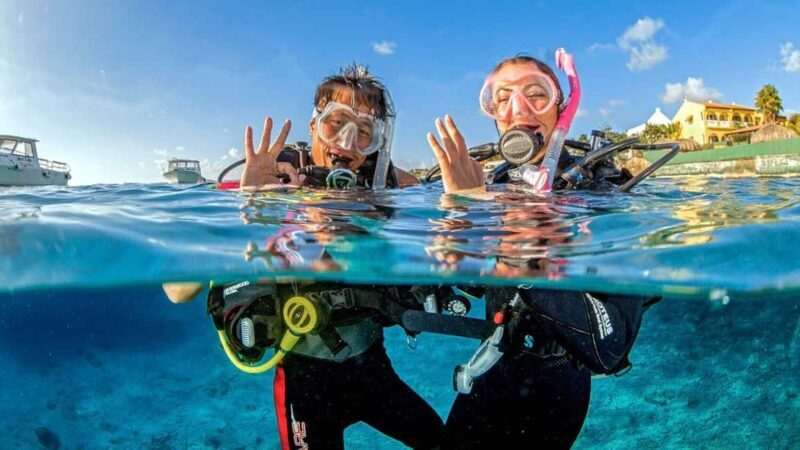 Catalina Island and Snorkeling Tour - Final Thoughts