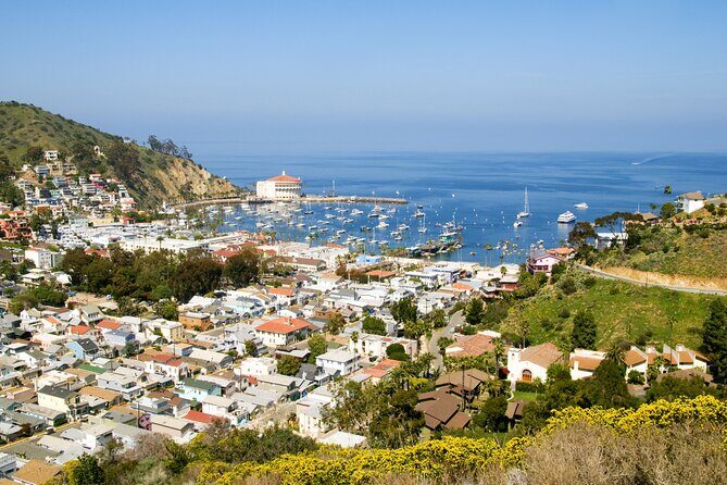 Catalina Island Avalon Highlights Walking Tour - Good To Know  