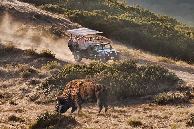 Catalina Island Cape Canyon Off-Road H1 Hummer Tour With Lunch - Tour Details