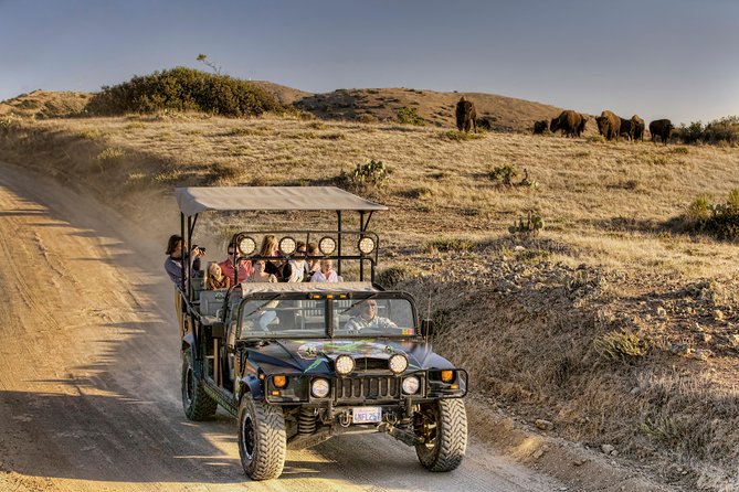 Catalina Island Cape Canyon Off-Road H1 Hummer Tour With Lunch - Tour Itinerary