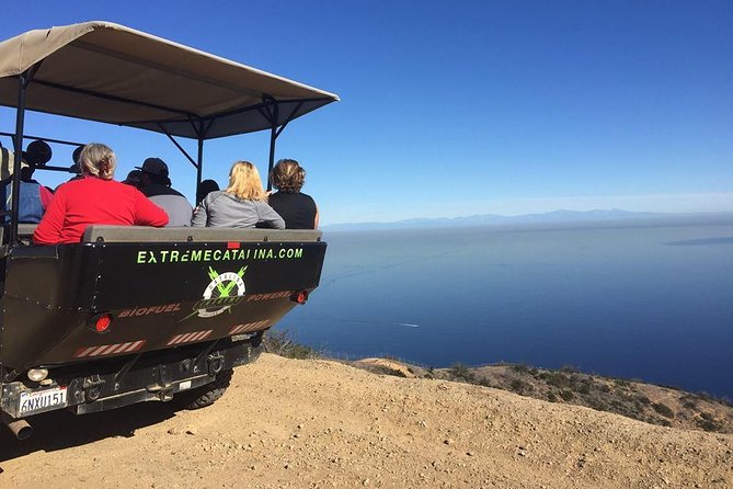Catalina Island Cape Canyon Off-Road H1 Hummer Tour With Lunch - Local Flora and Fauna