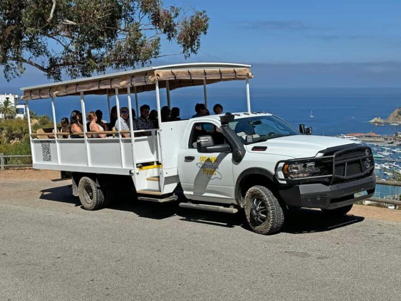 Catalina Island City & Scenic Mt. Ada Tour - What the Reviews Say