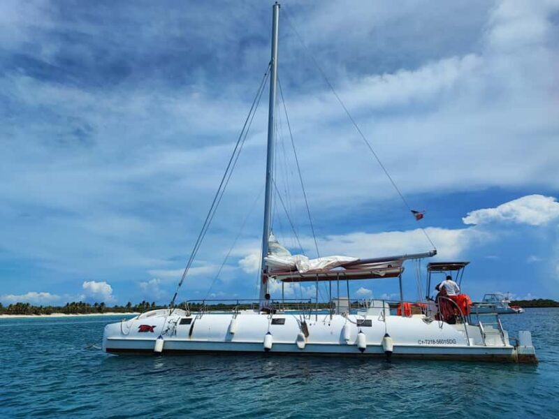 Catalina Island Comfort: Snorkeling & Catamaran Experience - Good To Know