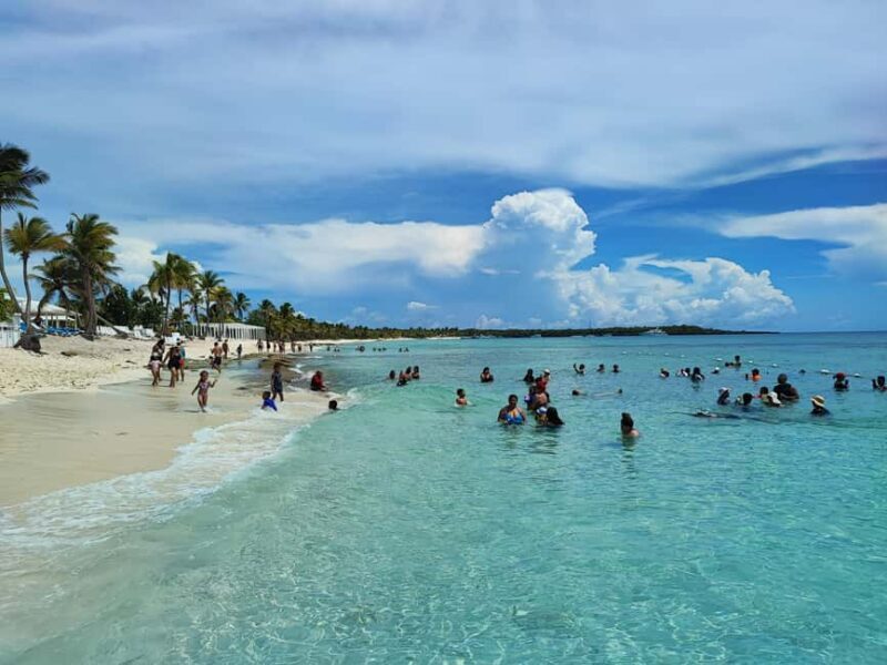 Catalina Island Comfort: Snorkeling & Catamaran Experience - An Overview of the Experience