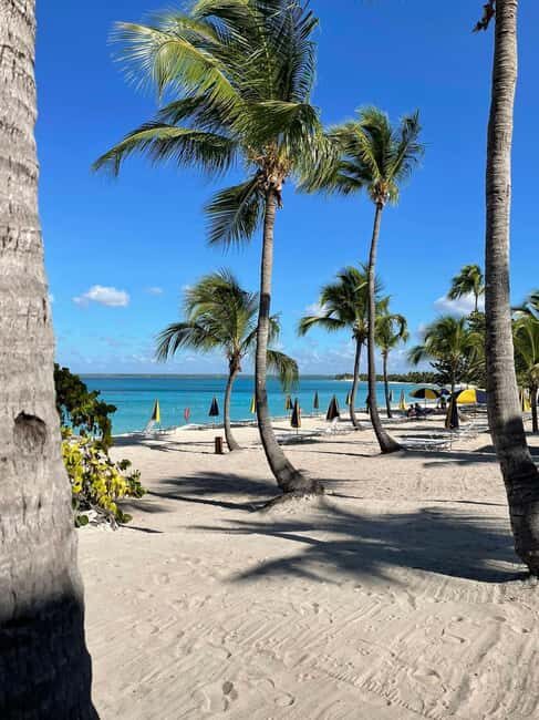 Catalina Island: Cruise, Snorkelling, Open Buffet & Drinks - Good To Know