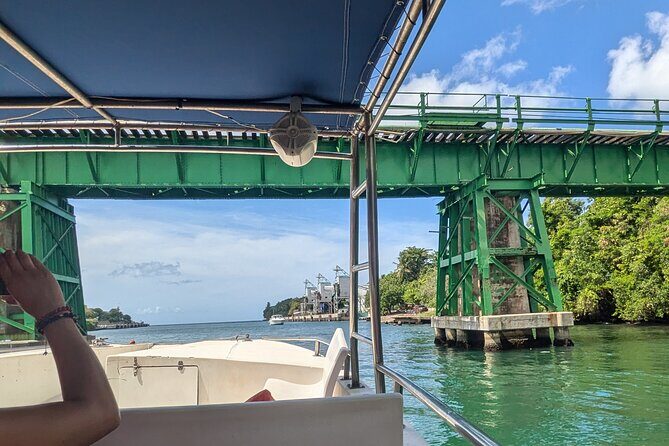 Catalina Island Day Tour  Explore the Jewel of the Caribbean - Good To Know