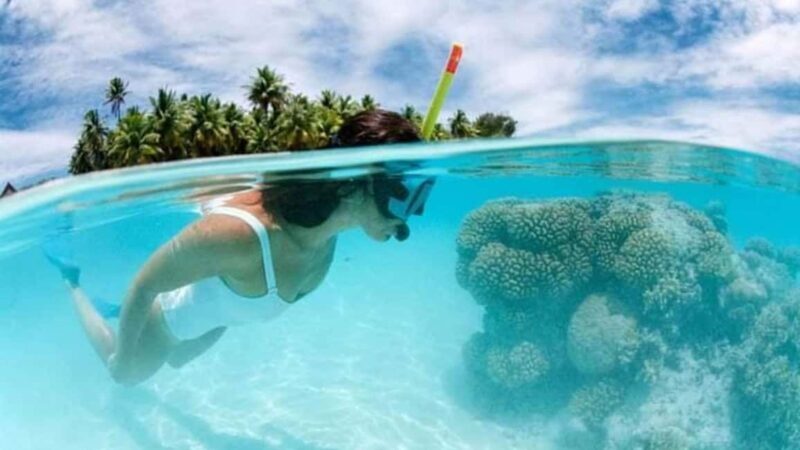 Catalina Island: Day Trip - Best Snorkeling! - Good To Know