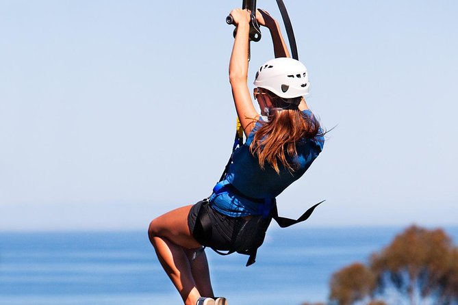 Catalina Island Day Trip From Anaheim With Zipline Adventure - Tour Highlights