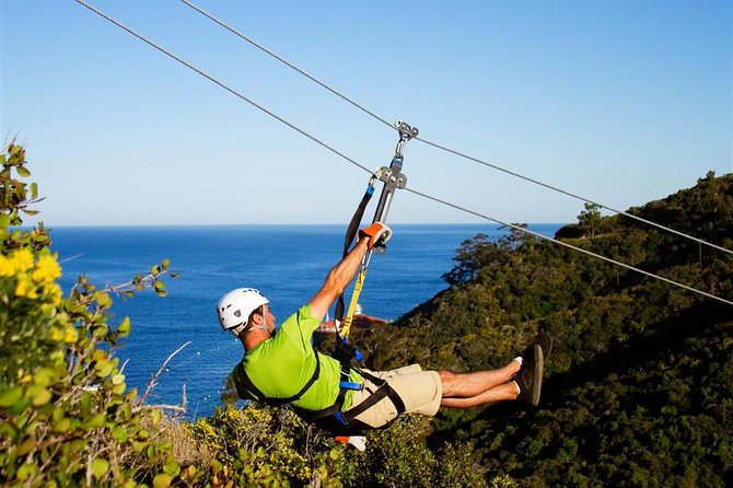 Catalina Island Day Trip From Anaheim With Zipline Adventure - Inclusions and Exclusions