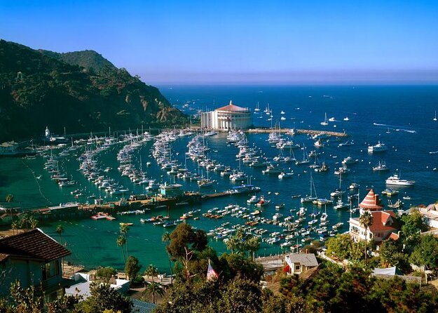 Catalina Island Day Trip From LAX Area Hotels With Undersea Adventure - Tour Package Inclusions