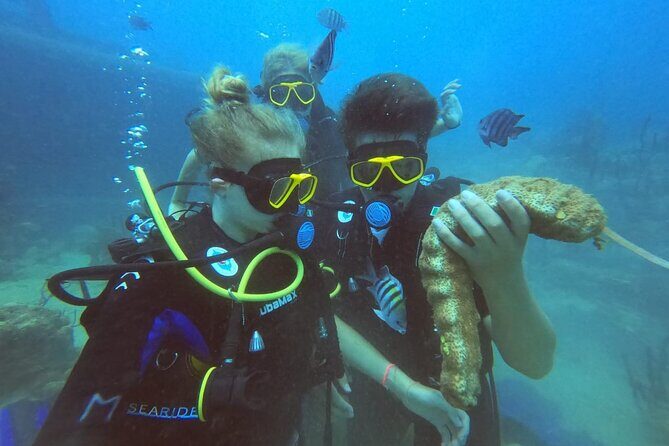 Catalina Island Diving - What Reviewers Say: Authentic Insights