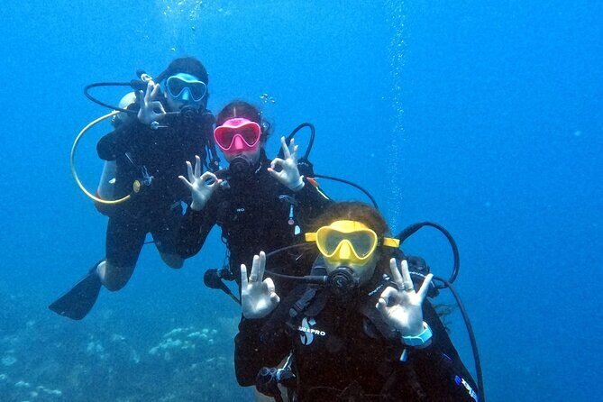 Catalina Island Diving - The Sum Up: Who Is This Tour Perfect For?