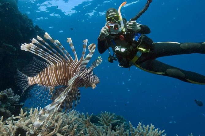 Catalina Island Diving Tour - Inclusions Provided