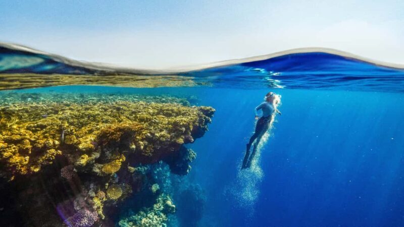 Catalina Island, even more pristine than Saona - Good To Know