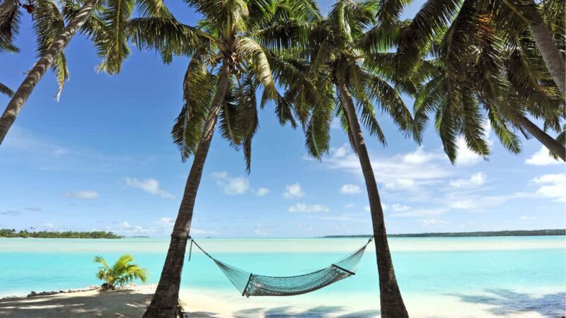 Catalina Island, even more pristine than Saona - Transportation and Logistics