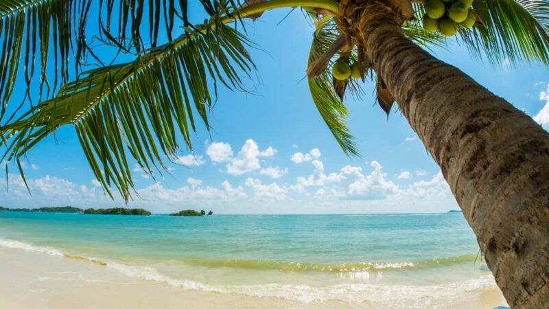 Catalina Island, even more pristine than Saona - The Realities: What Reviews Tell Us