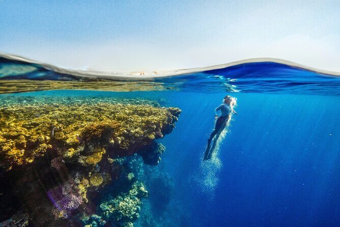 Catalina Island Even more unspoilt than Saona - Who Would Love This Tour?