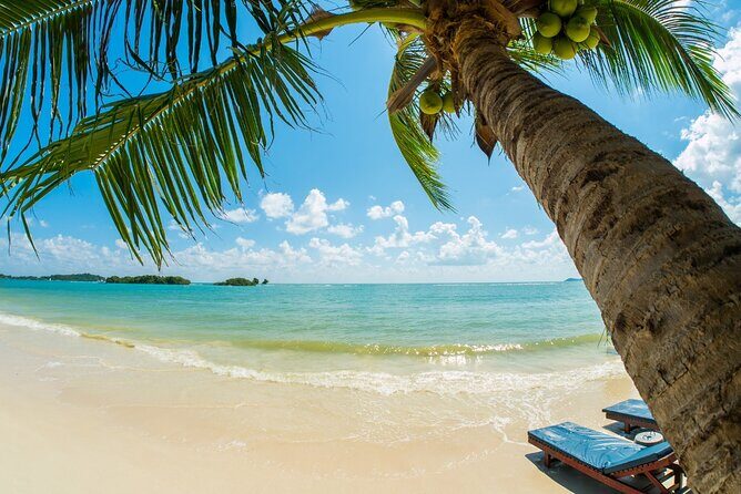 Catalina Island Even more unspoilt than Saona - Final Thoughts