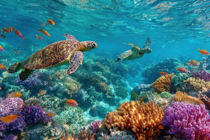 Catalina Island even more unspoilt than Saona Island - Good To Know