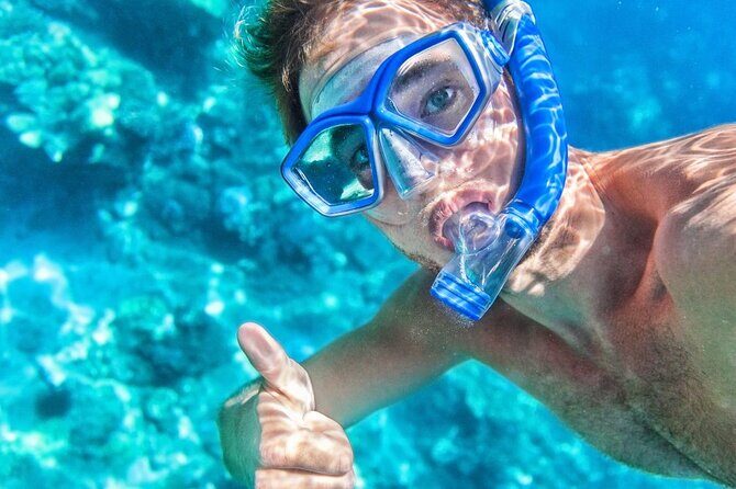 Catalina Island even more unspoilt than Saona Island - The Experience: What Makes It Special?