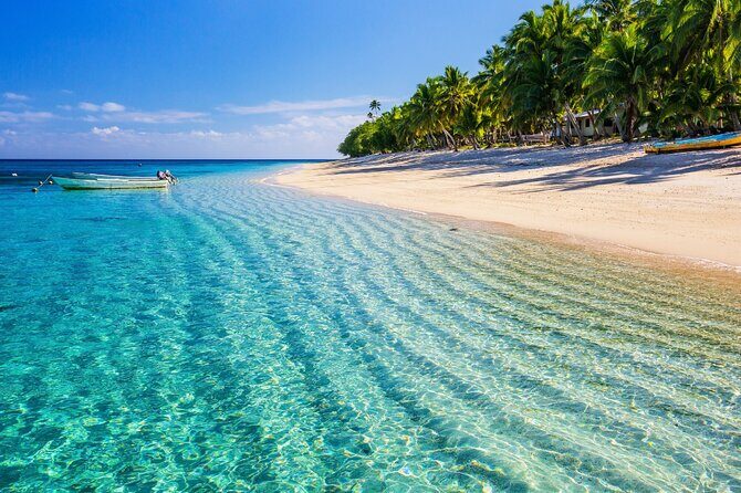 Catalina Island even more unspoilt than Saona Island - Who Will Love This Tour?