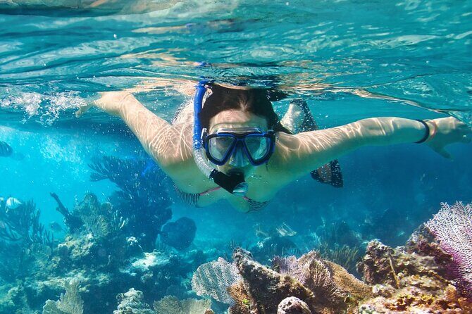 Catalina Island even more unspoilt than Saona Island - The Sum Up