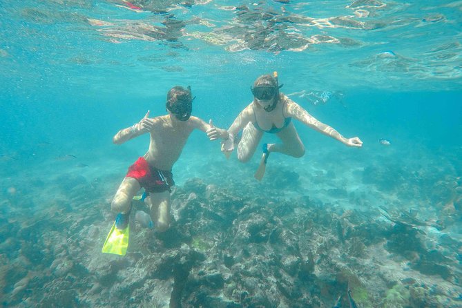 Catalina Island - Full Day All Inclusive Experience - Inclusions and Activities Offered