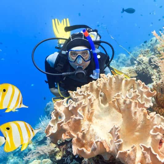 Catalina Island Full-Day Diving Tour + Lunch From Punta Cana - Good To Know