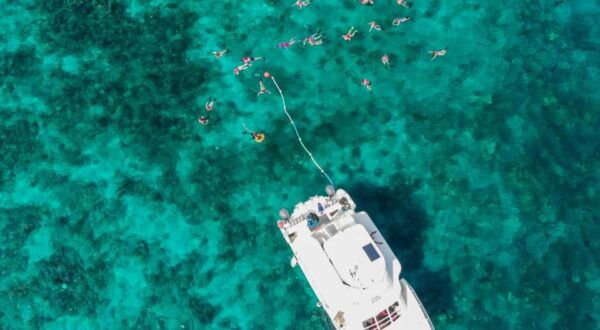 Catalina Island Full-Day Diving Tour + Lunch From Punta Cana - Diving Expedition Details