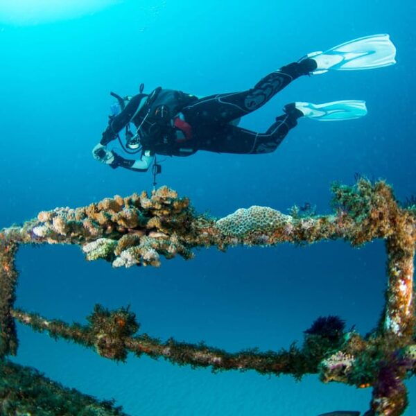 Catalina Island Full-Day Diving Tour + Lunch From Punta Cana - Beach Time and Lunch