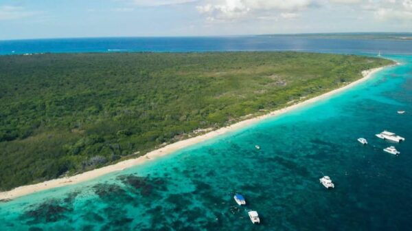 Catalina Island Full-Day Diving Tour + Lunch From Punta Cana - Cultural Performances