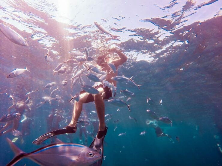 Catalina Island Full-Day Snorkeling + Lunch From Punta Cana - Good To Know