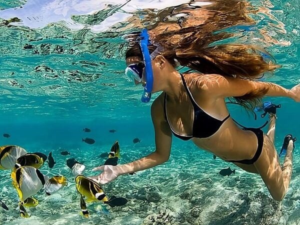 Catalina Island Full-Day Snorkeling + Lunch From Punta Cana - Pick-up and Drop-off
